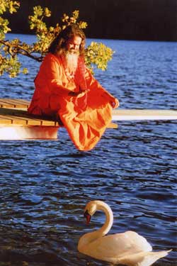Swamiji-and-Swan